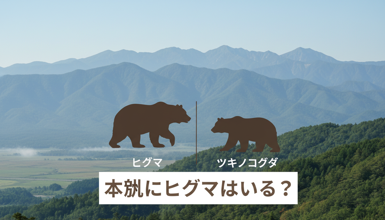本州にヒグマはいる？最新の分布と目撃情報の見方
